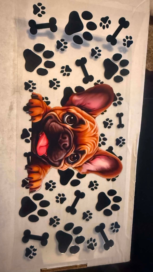 dog 1