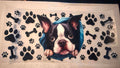 dog 4