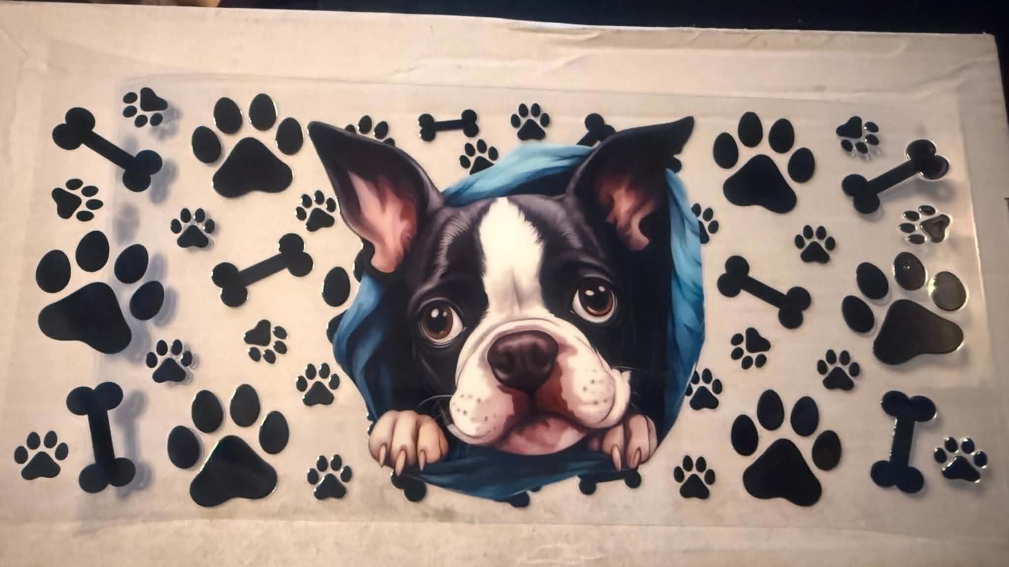 dog 4