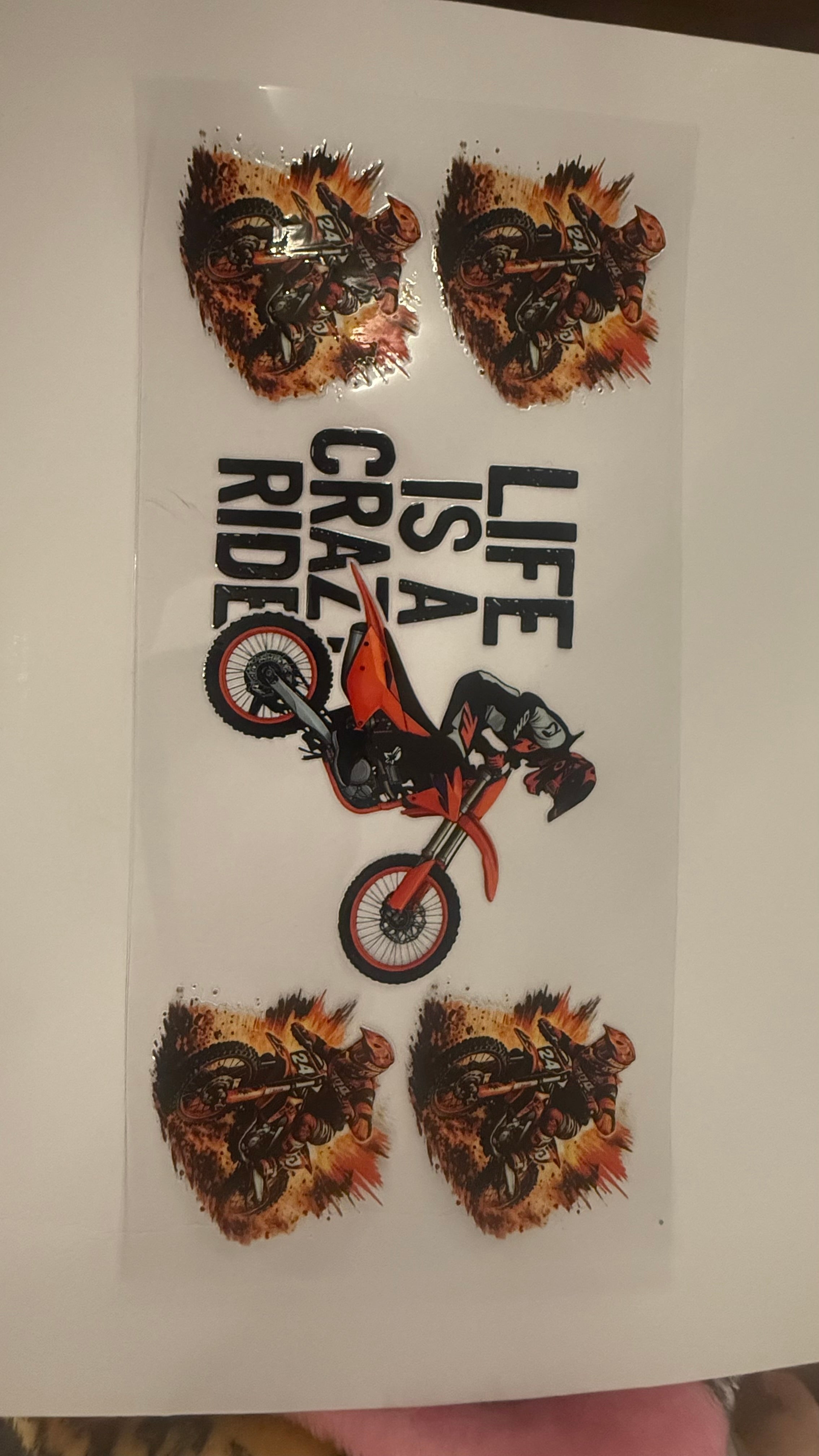 Life is a crazy ride