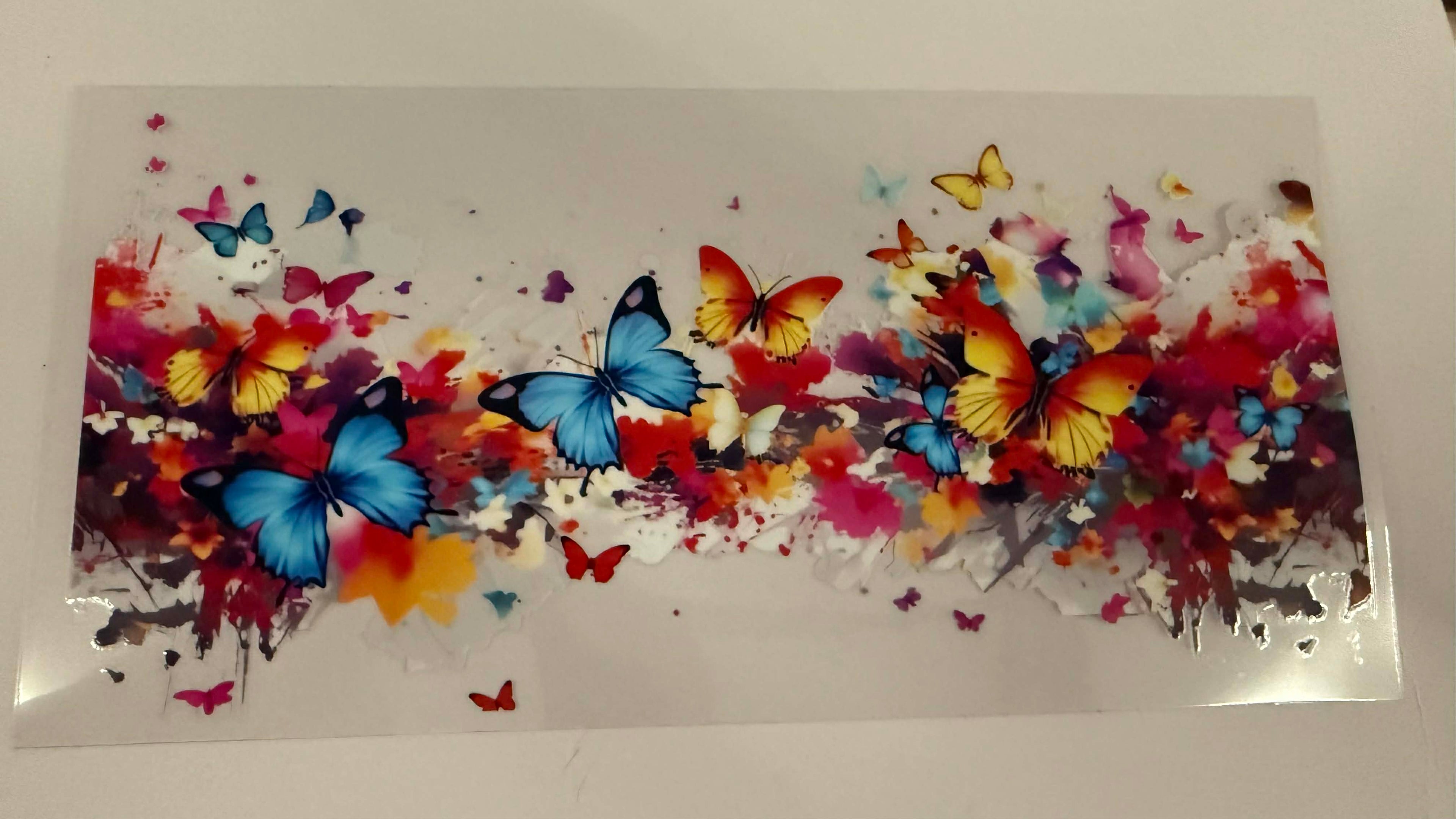 butterfly 7