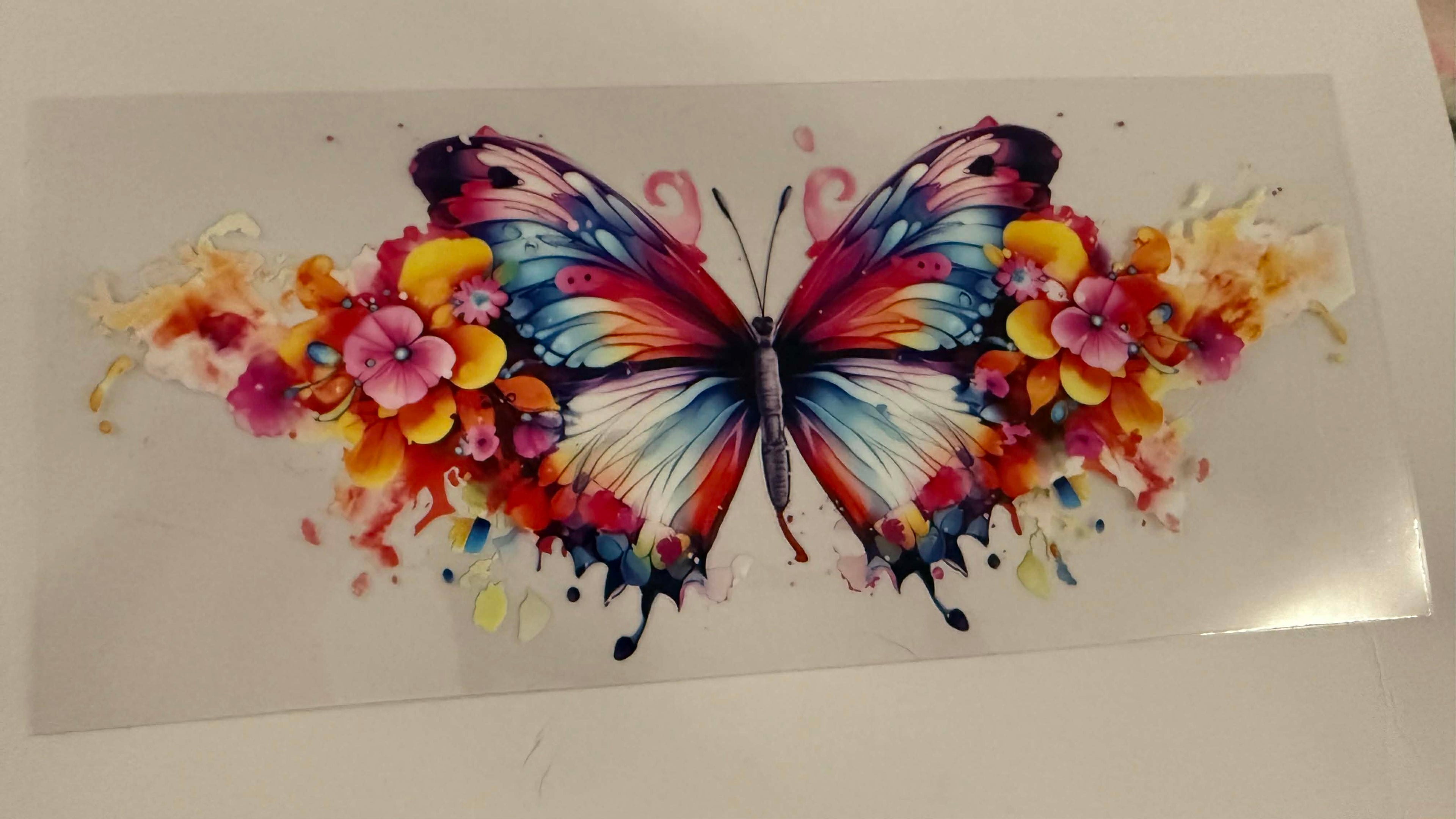 Butterfly 6