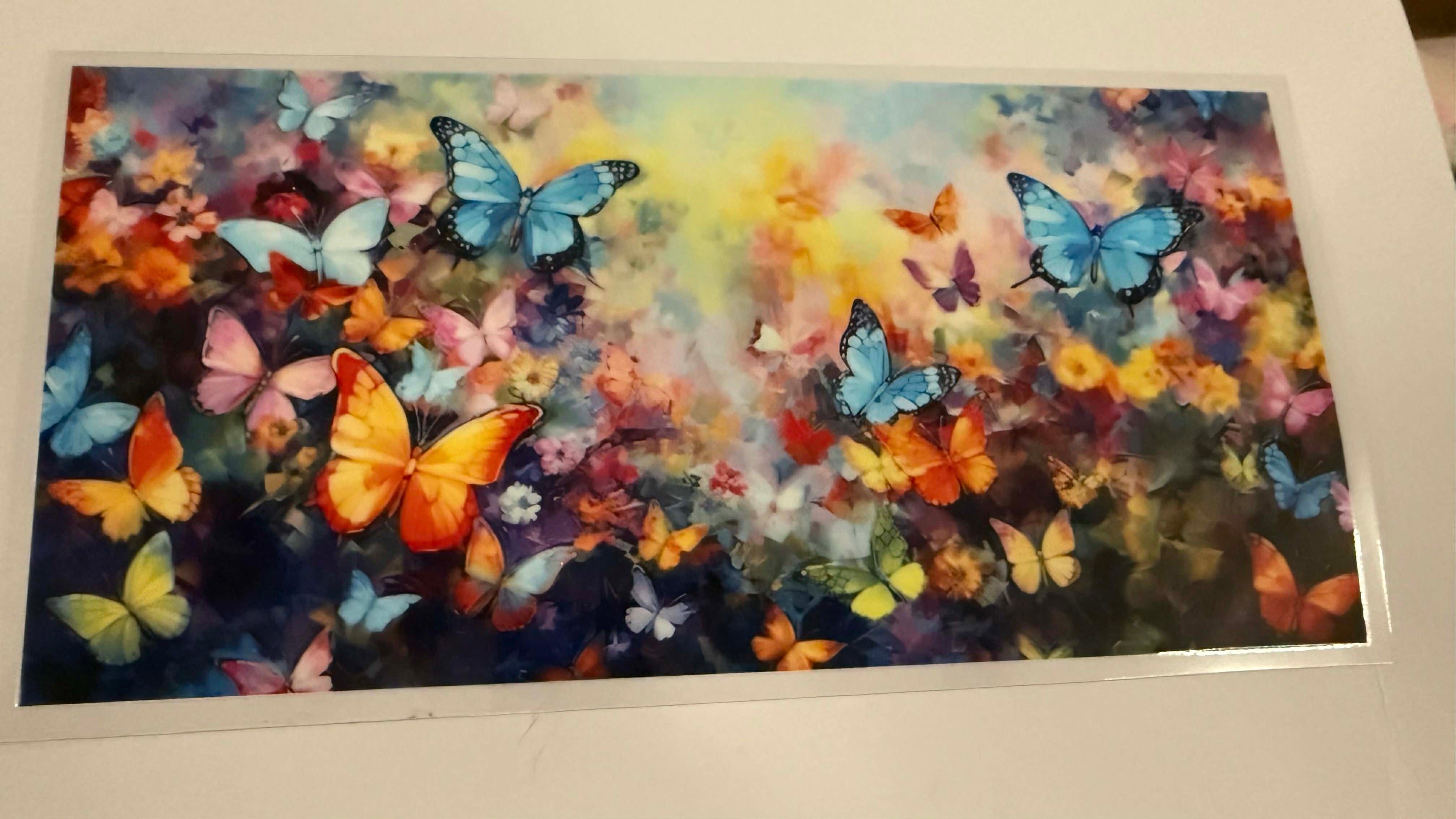 Butterfly 5