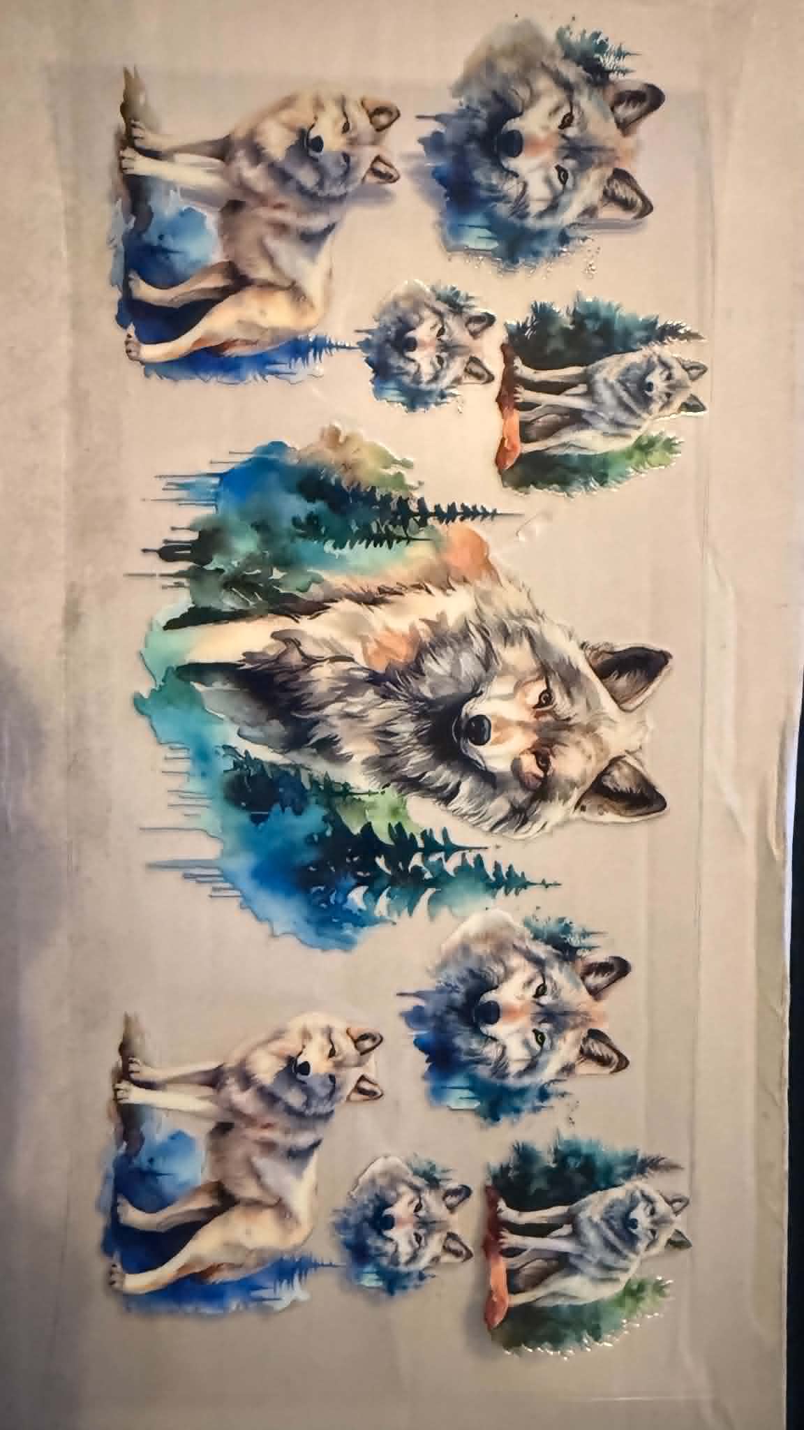 Wolf